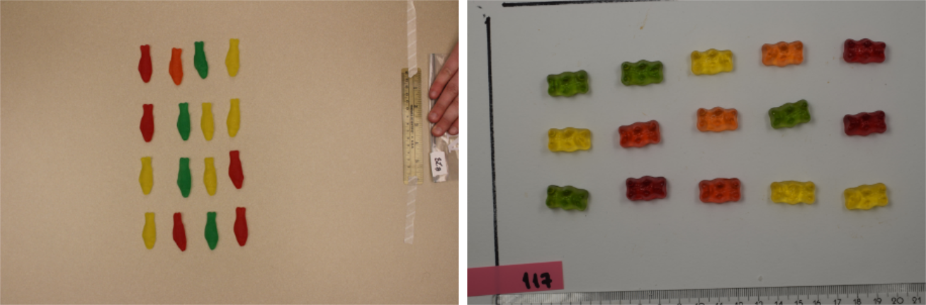 Pictures of candies taken during the course by Dan Chitwood's students (left) and our students (right).